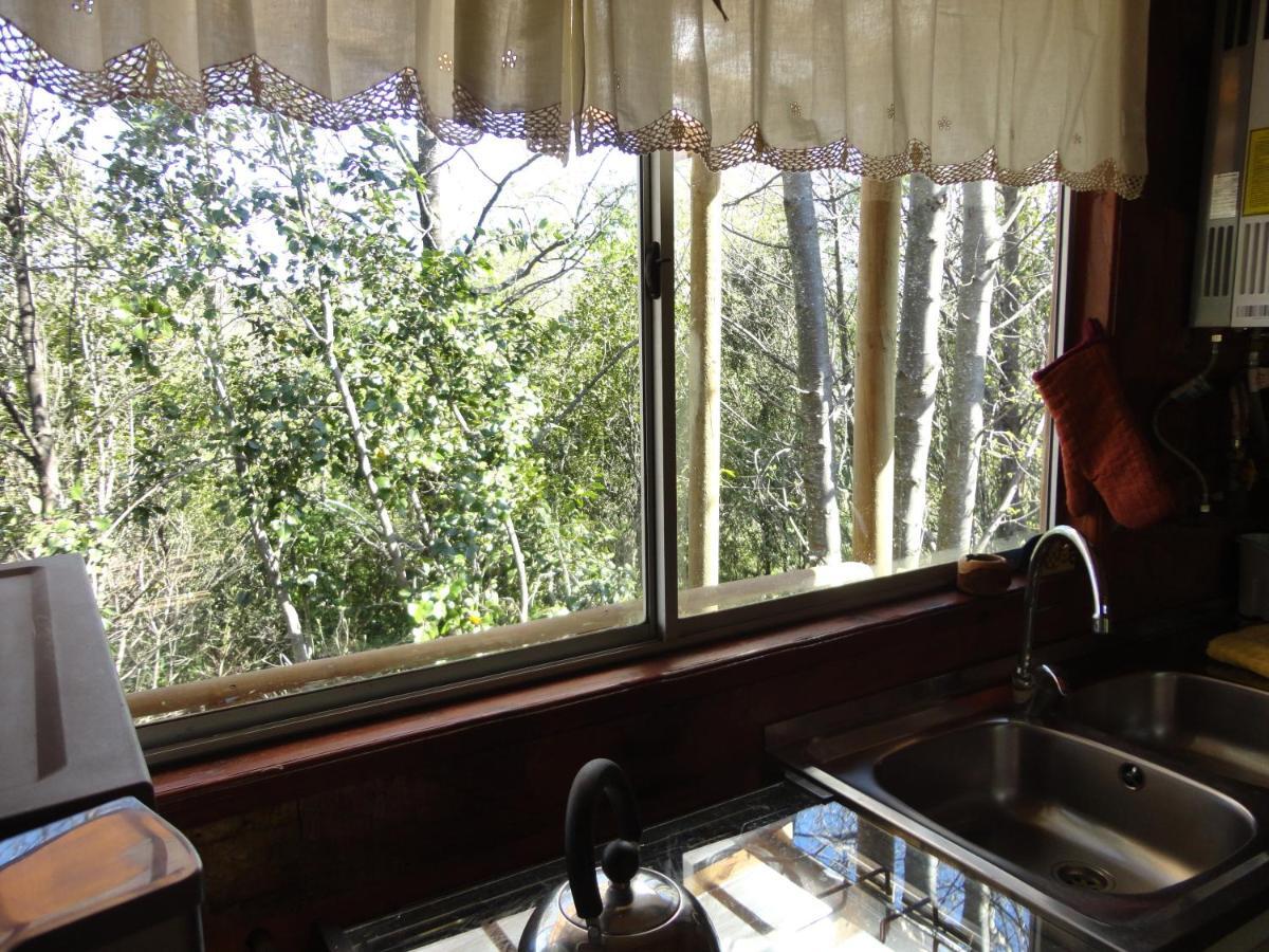Cabanas Spa Bungalows Huarranchi Pucón Eksteriør billede