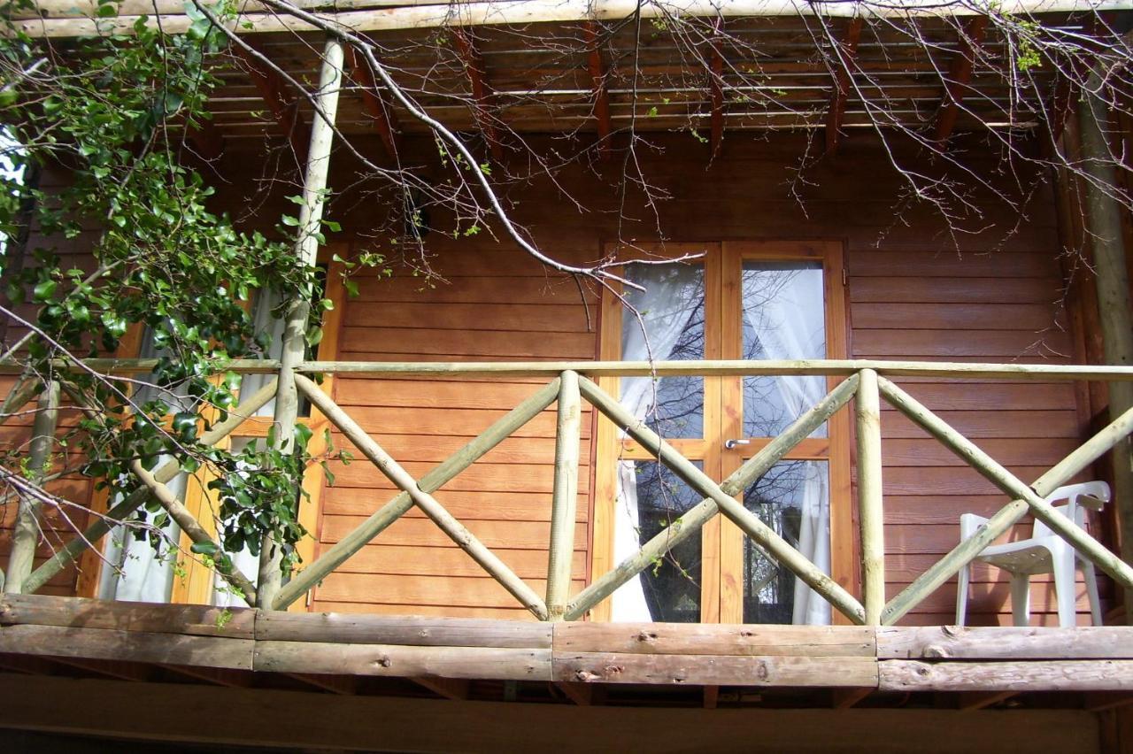 Cabanas Spa Bungalows Huarranchi Pucón Værelse billede